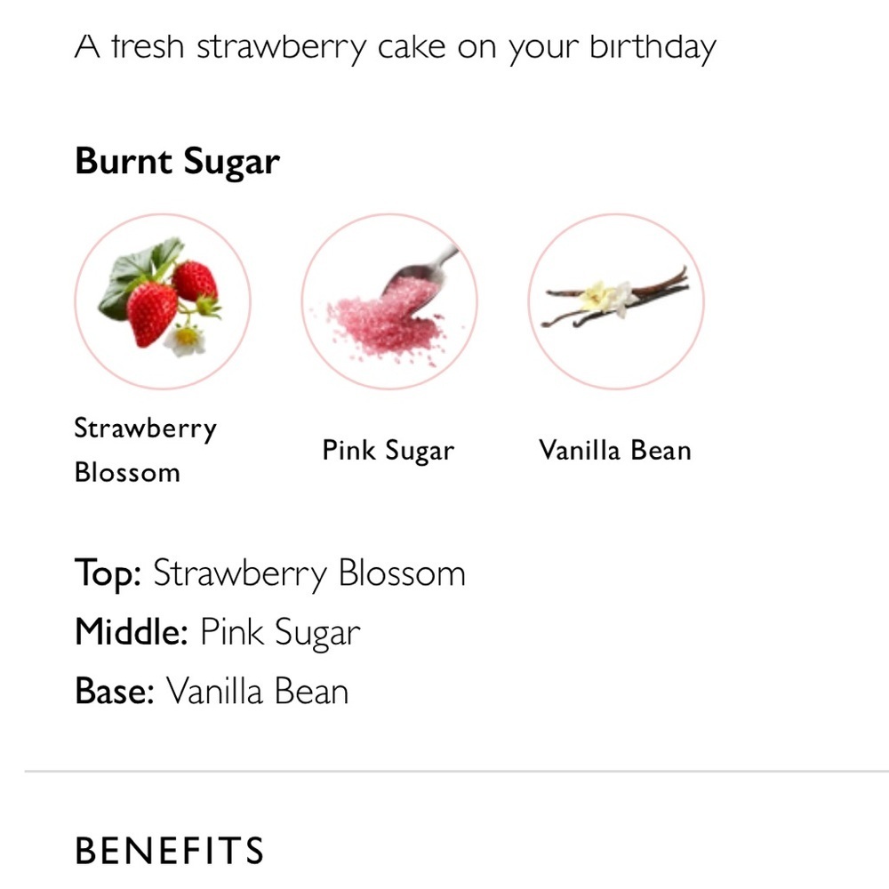 SPONGELLE Pink Donut 🍩 zero calories 14+ WASHES ,STRAWBERRY CAKE - Picture 8 of 8